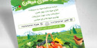 تراکت سبزی فروشی