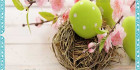 بک گراند تخم مرغ رنگی