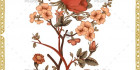 وکتور گل بوته اسلیمی