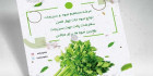 طرح تراکت سبزیجات آماده