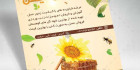 دانلود تراکت فروش عسل