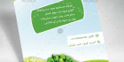 دانلود تراکت میوه و سبزیجات