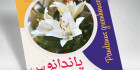 تراکت لایه باز گلکده
