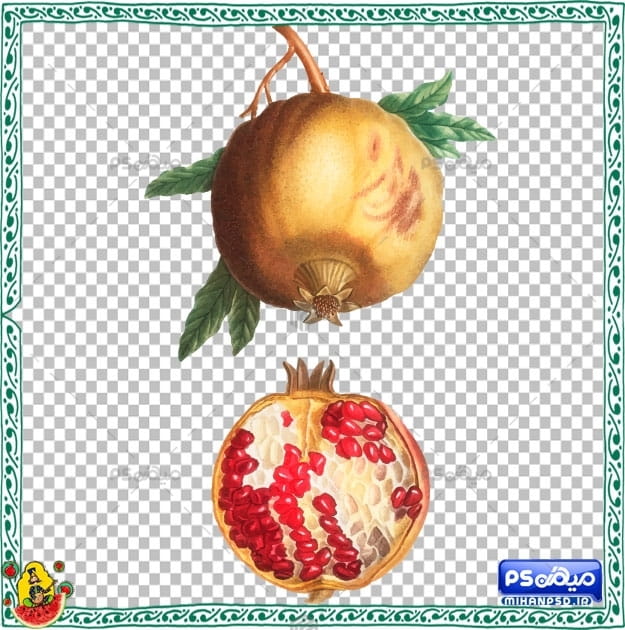 وکتور انار شب چله
