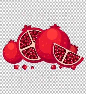 وکتور لایه باز انار یلدا