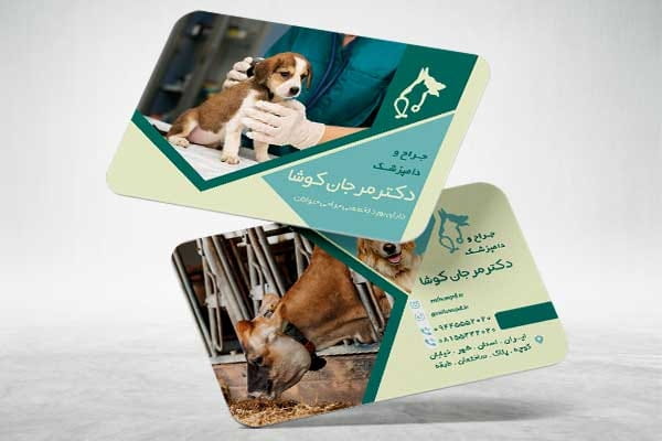 کارت ویزیت دامپزشکی لایه باز